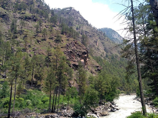 Kasol