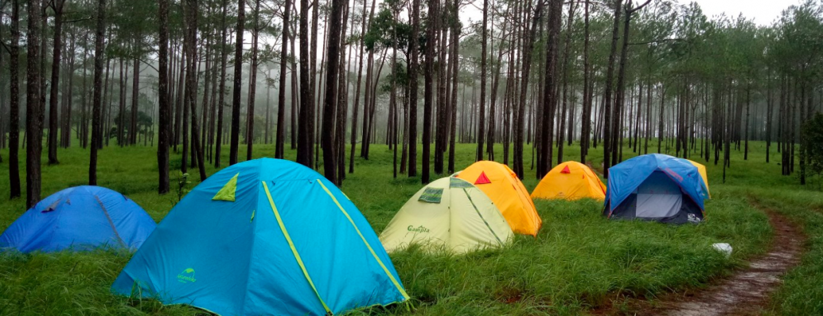Camping Guide for India: What to Pack?