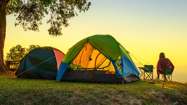 Top 10 Awesome Campsites Near Chandigarh